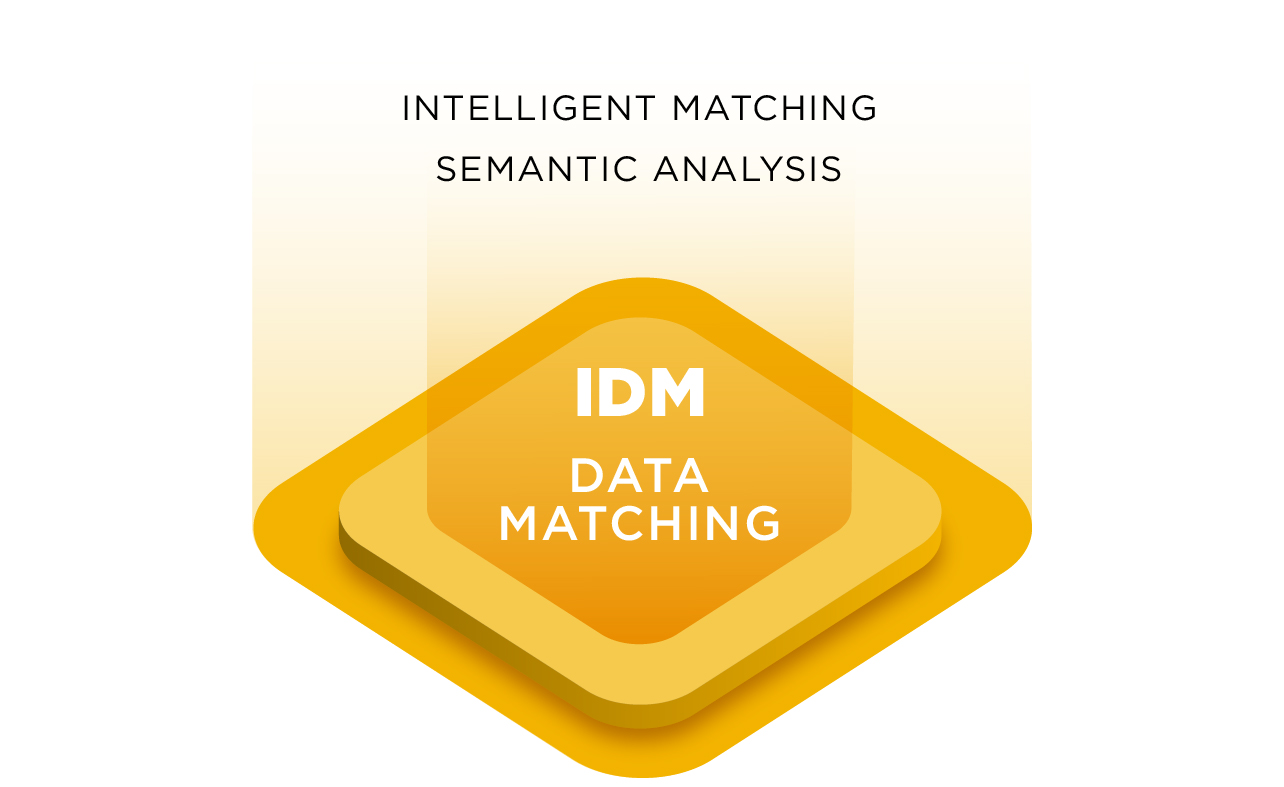 Piteco AI Data Matching