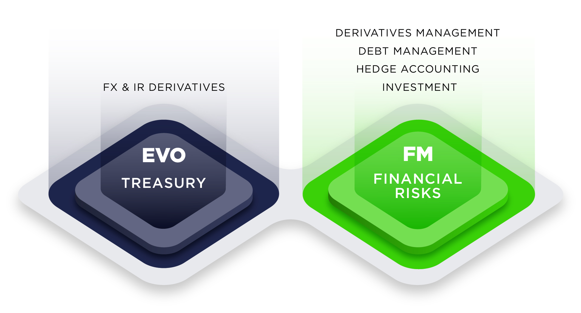 Treasury & Financial Risk